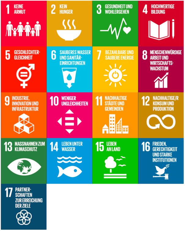 SDG_logo